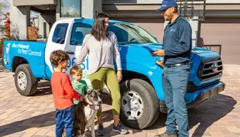 The Benefits of Partnering with a Local Tucson Pest Control Company