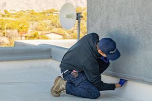 Pest Control Inspection Tucson, AZ