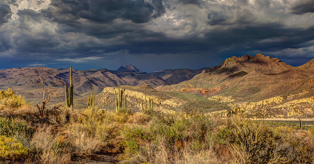 Marana, AZ Pest Control Pest Friends